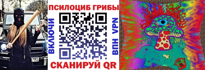 Галлюциногенные грибы GOLDEN TEACHER  наркота  Таганрог 